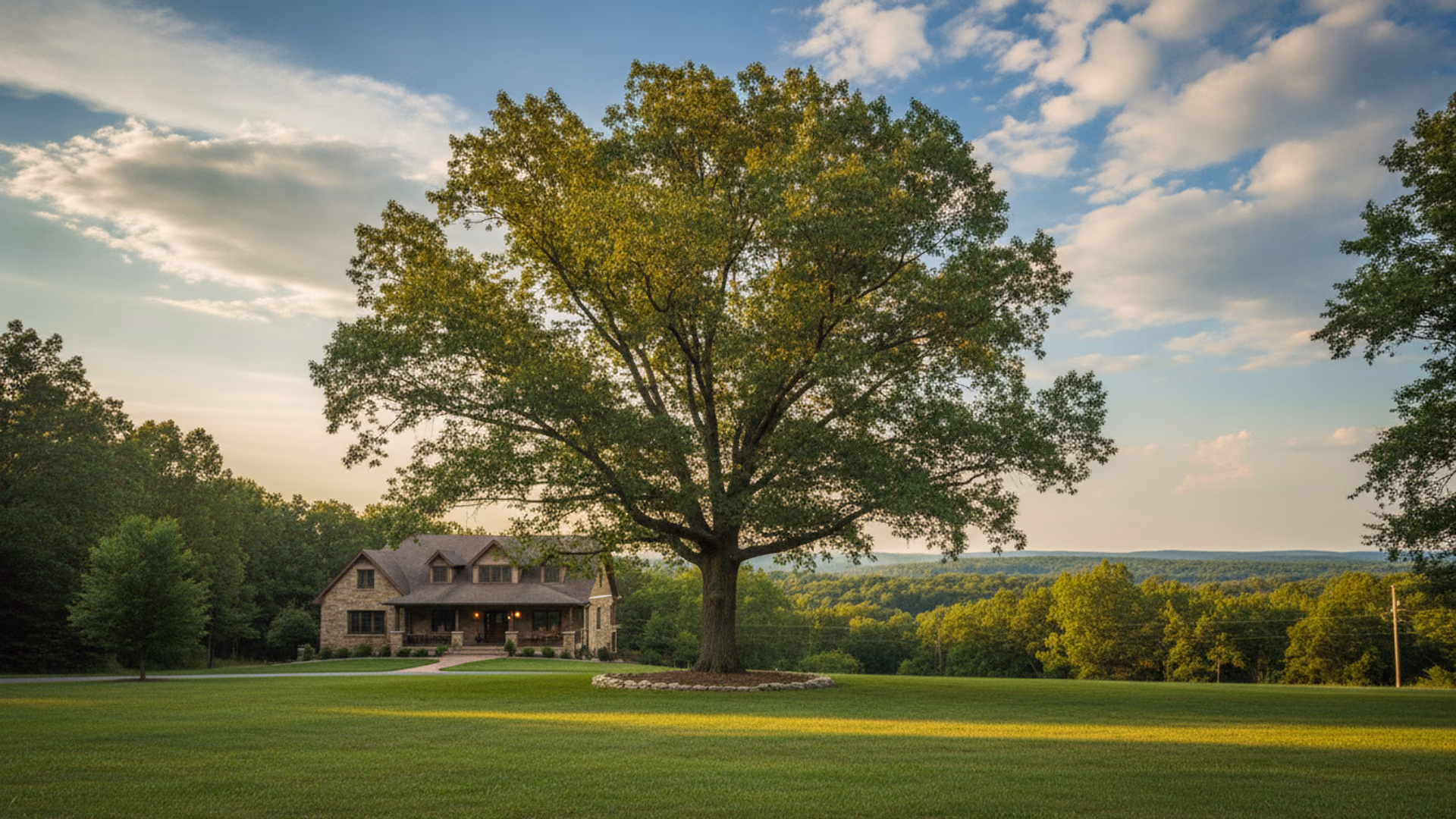 Broad mature white oak with a clean, balanced canopy shading a tidy Springfield, MO yard and craftsman home in warm morning light